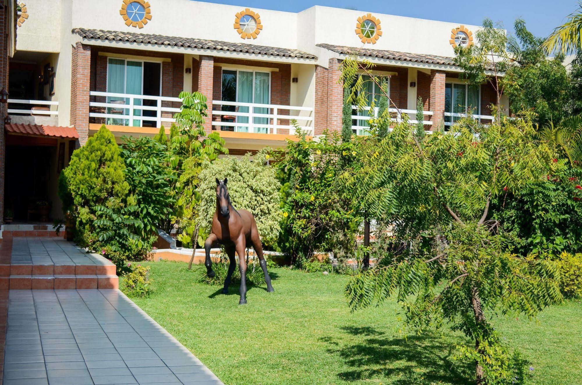 Quinta La Estampida Hotell Xochitepec Exteriör bild